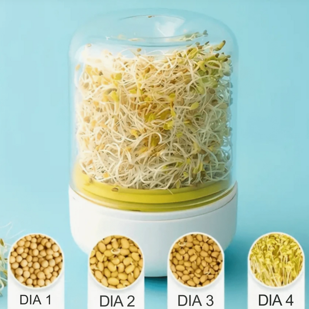 Germinador de Brotes