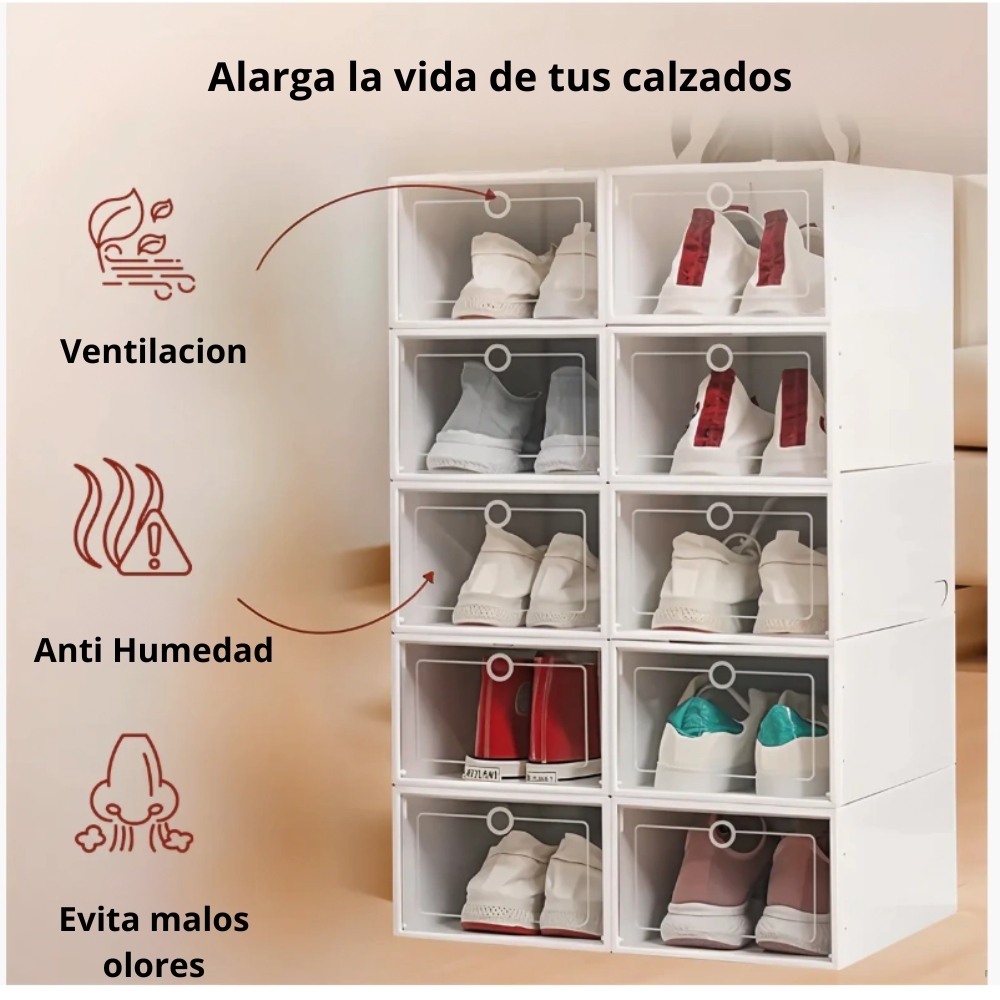 Organizador de Zapatos x12