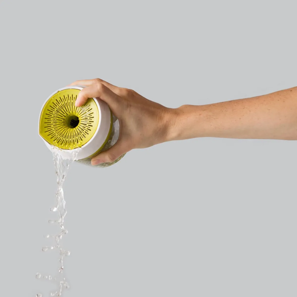 Germinador de Brotes